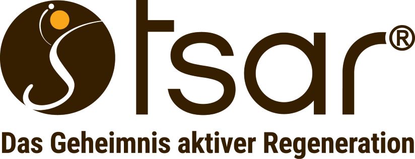 kleinlogoTSAR2016